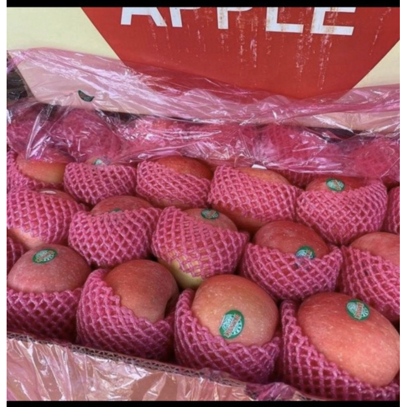 buah apel Fuji fresh import 1 dus