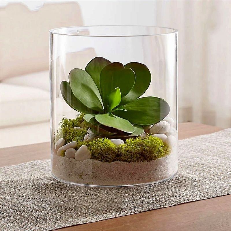 VAS KACA TABUNG TERARIUM / POT KACA HIDROPONIK / VAS BUNGA AESTHETIC