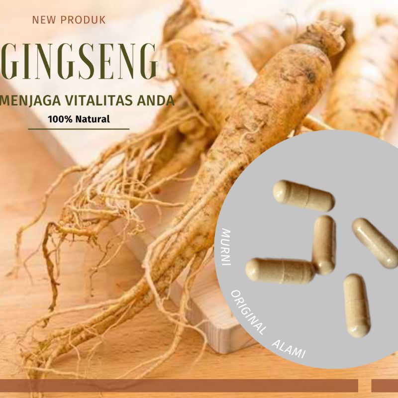 

TANPA CAMPURAN, Ginseng 1 Kapsul Curah Herbal
