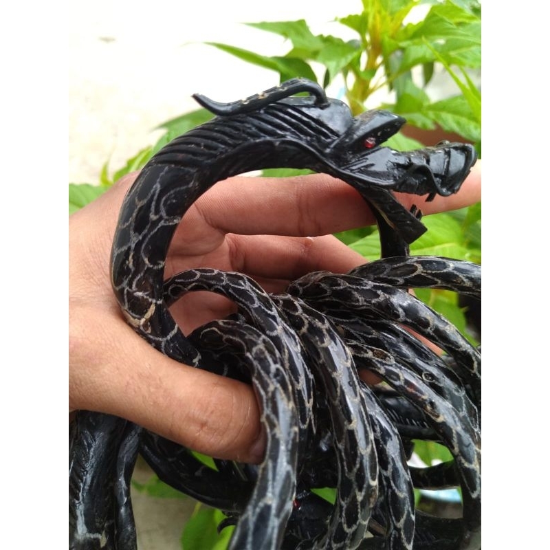gelang akar Bahar naga