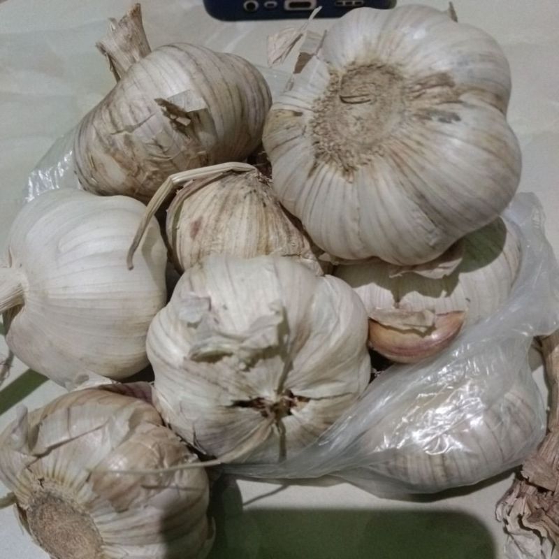 

bawang putih 1/2kg