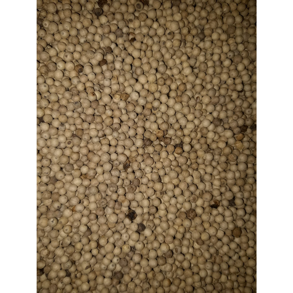 

Lada Putih Bangka Belitung (Muntok White Pepper)