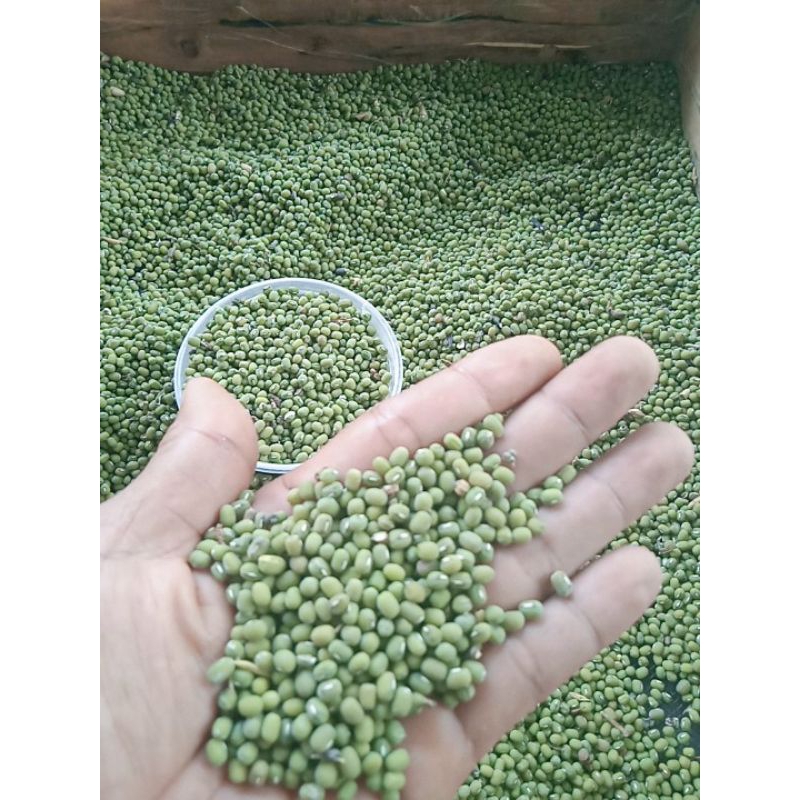 

500gram kacang hijau