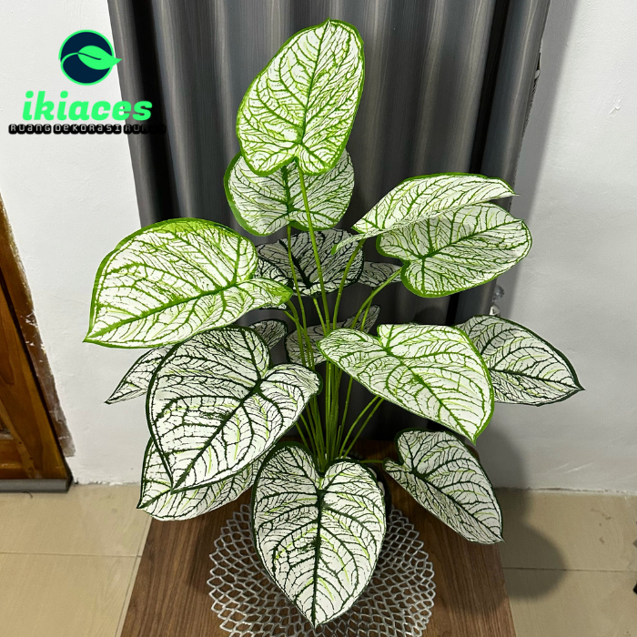 Daun Aglonema Plastik Daun Jumbo Artifisial Dekorasi Bunga Sudut Rumah Bunga Plastik Pot Bunga Hias