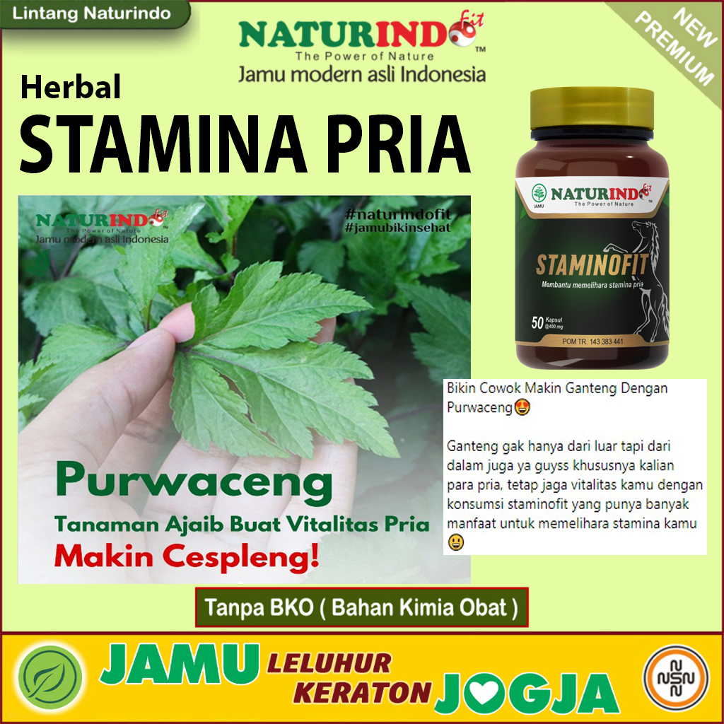 STAMINOFIT Obat Herbal Stamina Pria Naturindo