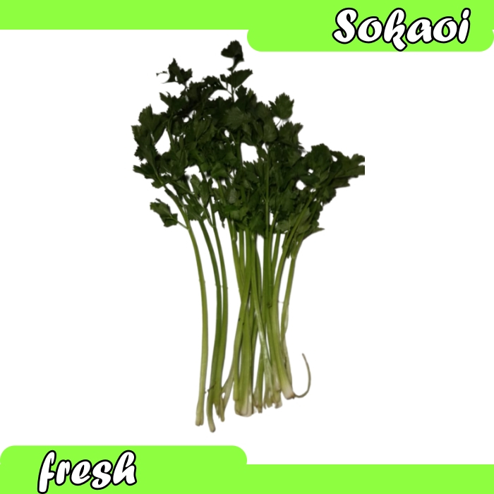 

SAYUR SELEDRI SEGAR FRESH CELERY