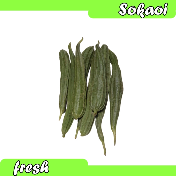 

SAYUR GAMBAS SAYUR SEGAR GAMBAS SEGAR GAMBAS MUDA