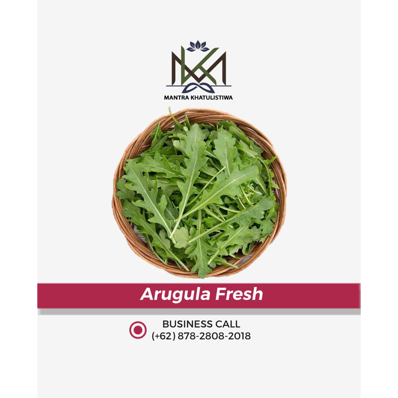 

Arugula Wild Rocket Segar