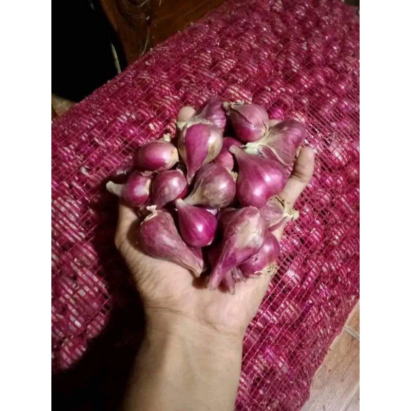 

Bawang Merah murah 1kg