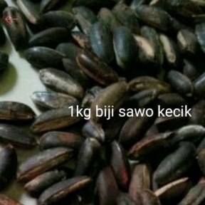 

biji Sawo Kecik