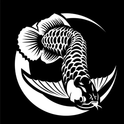 Cutting Sticker mobil Arwana, Ikan Arwana Pecinta ikan arwana keren untuk akuarium