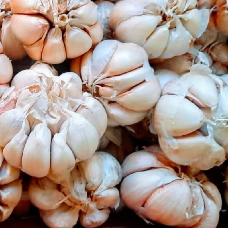 

BAWANG PUTIH 1KG