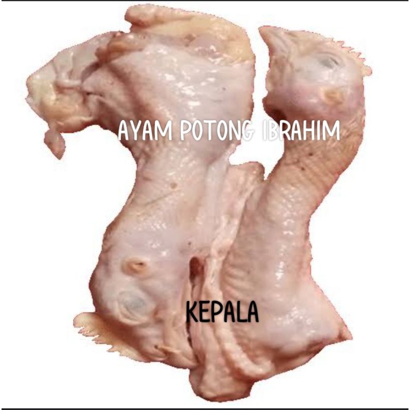 

KEPALA AYAM POTONG SEGAR 250g