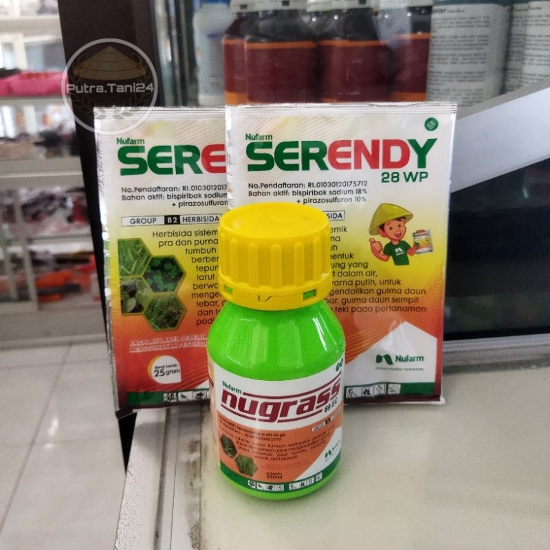 Serendy dan nugras herbisida selektif untuk tanaman padi gogo dan sawah