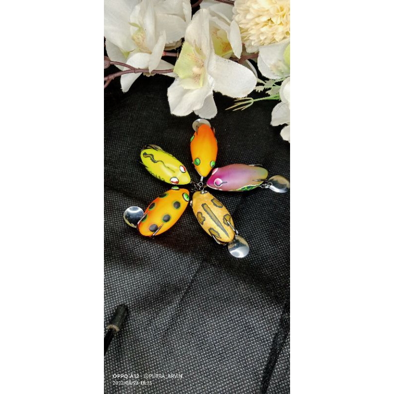 soft frog murah killer