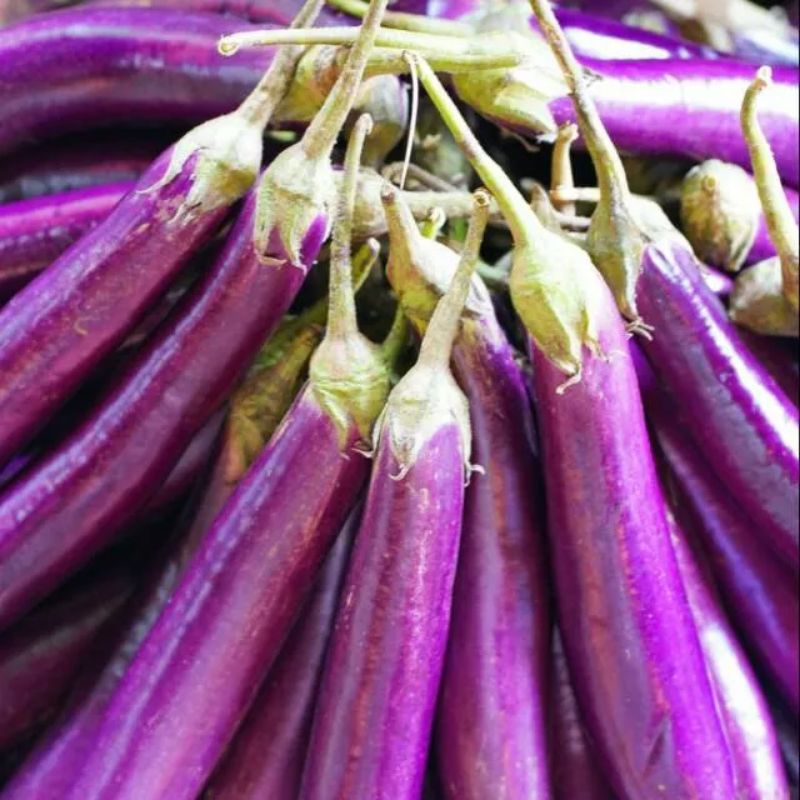 

1-3 PCS Sayur Terong Ungu pasar Makassar