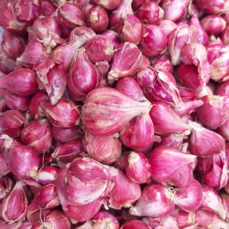 

Bawang Merah Brebes super 1kg