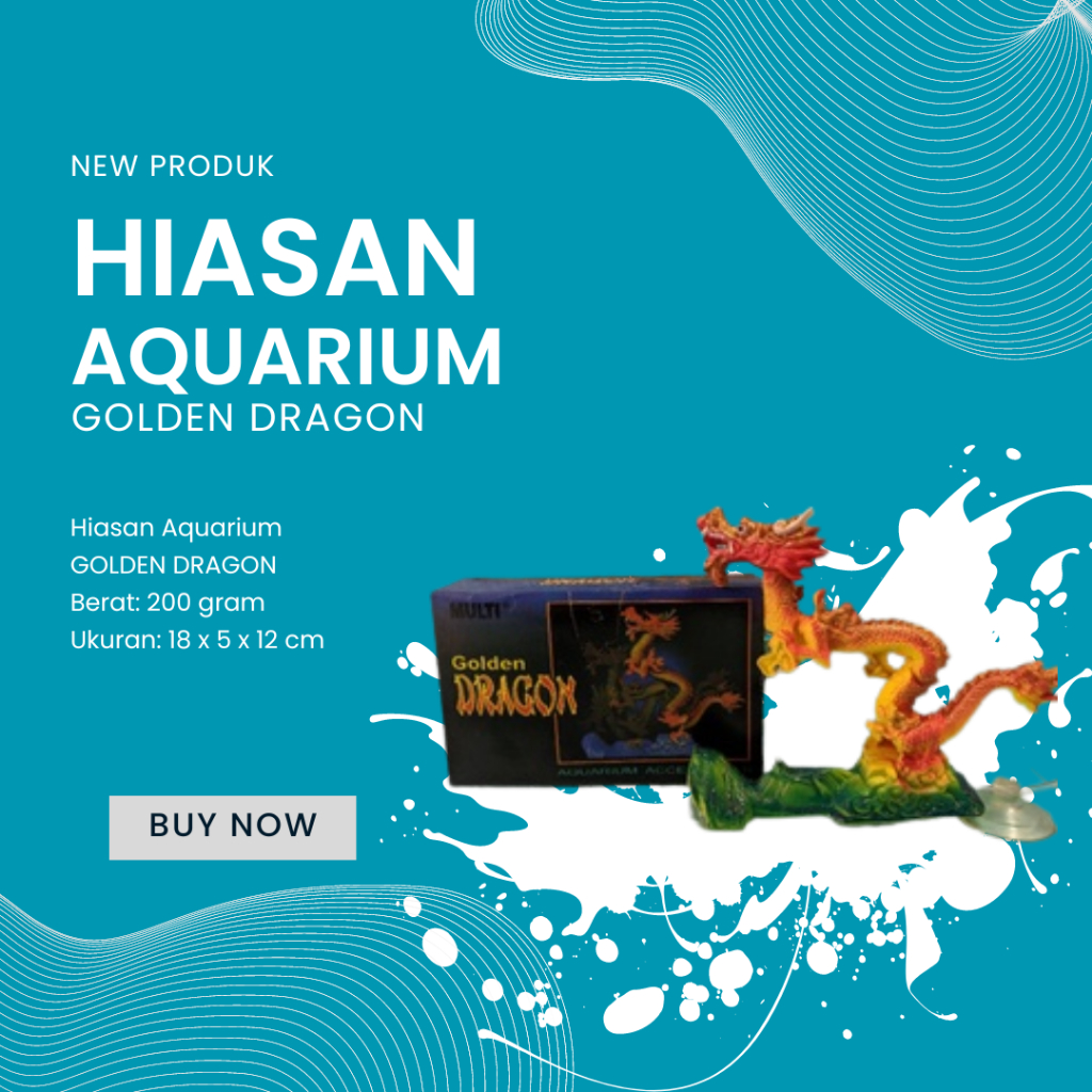 HIASAN AQUARIUM GOLDEN DRAGON - MAINAN NAGA