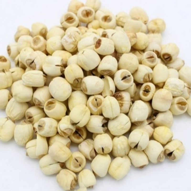 

Biji Teratai kering/ White Lotus Seed / Lian Zhi / Lienci / Lien Ci / Nai Ci