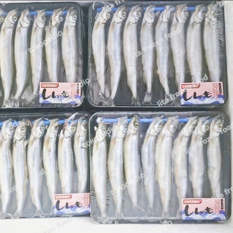 

Ikan Shisamo Fish | Capelin Fish Telur Import