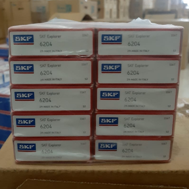 6204 SKF