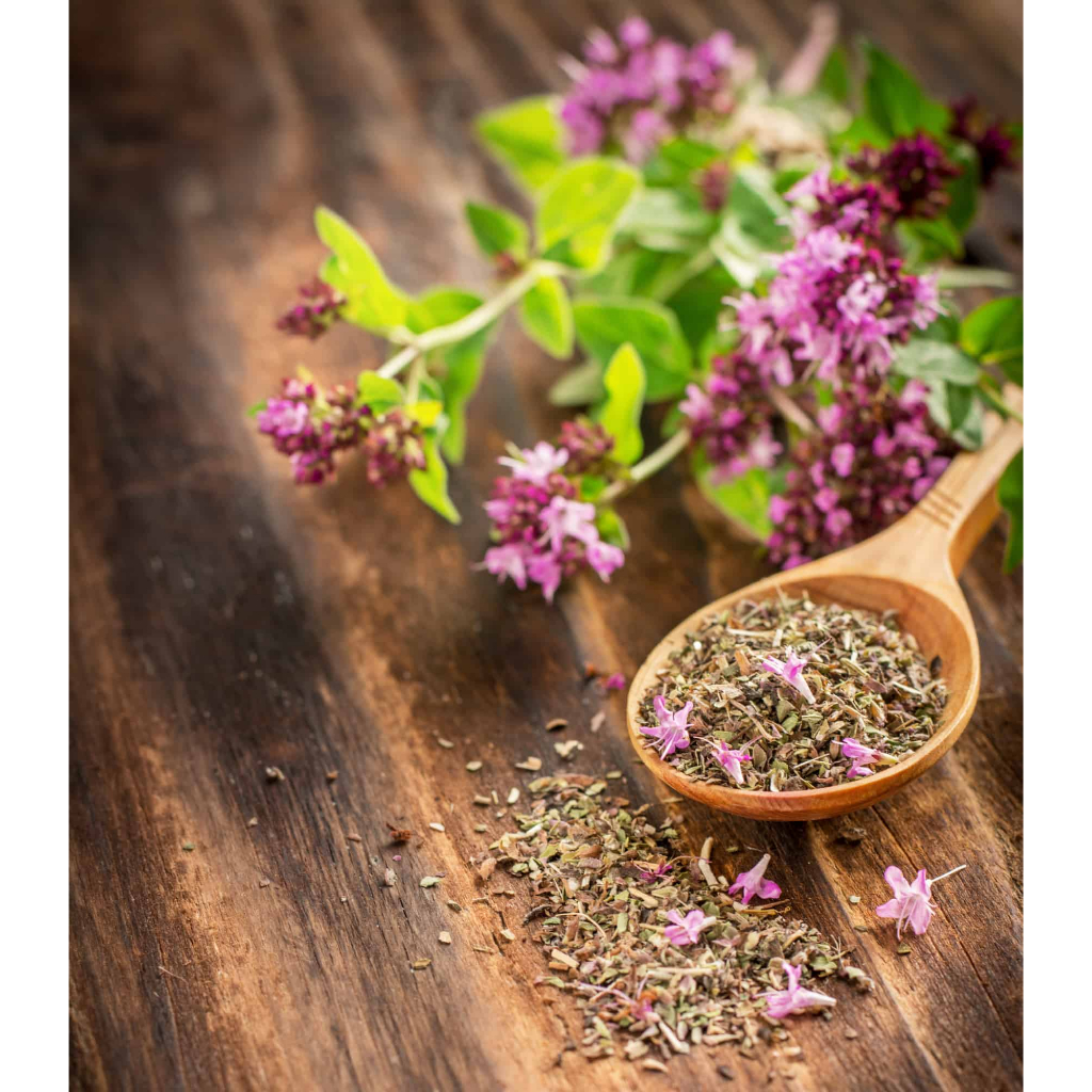 

Marjoram (1 Kg) / Sweet Oregano / Oreganum Majorana