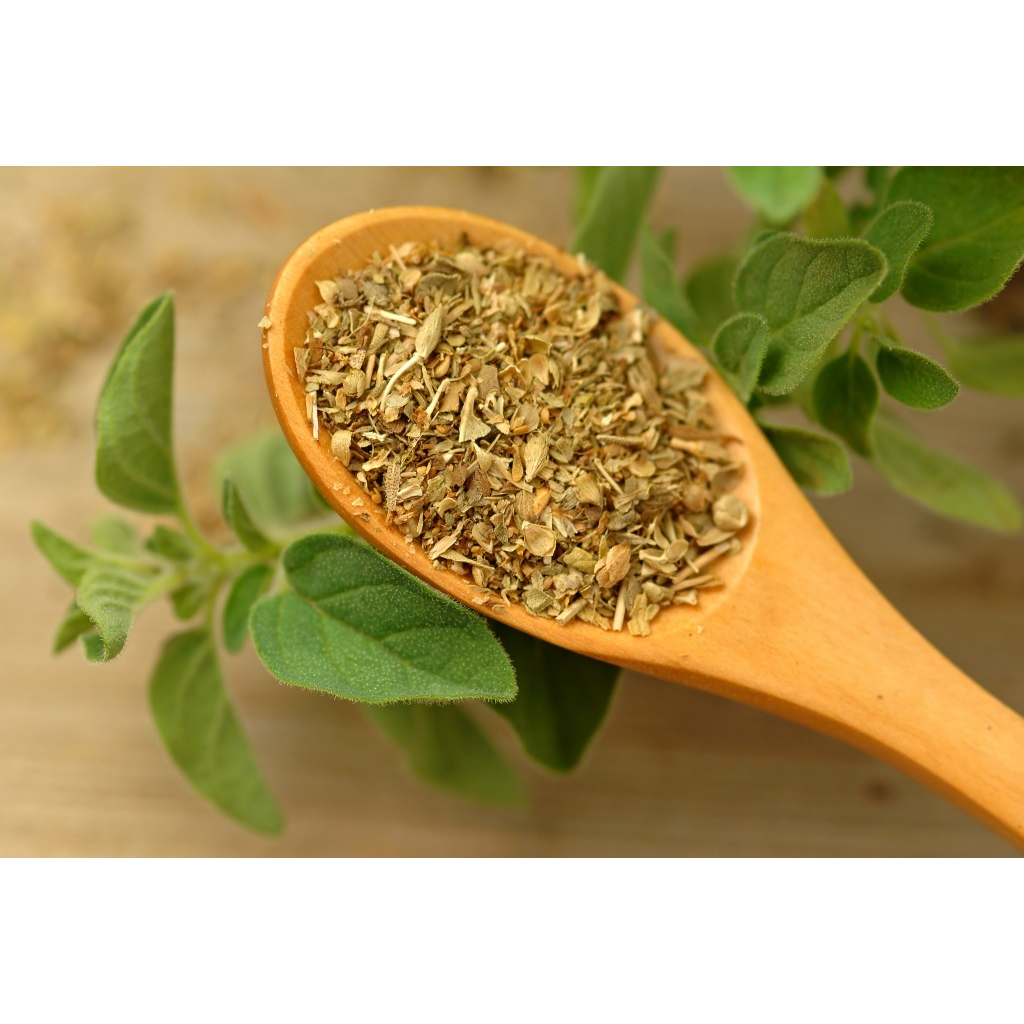 

Marjoram (500 gram) / Sweet Oregano / Oreganum Majorana