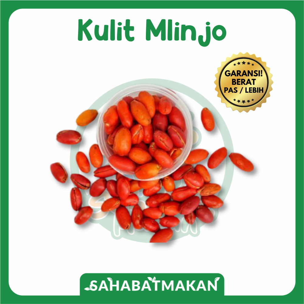 Kulit Mlinjo — Sahabat Makan Sayur Jogja