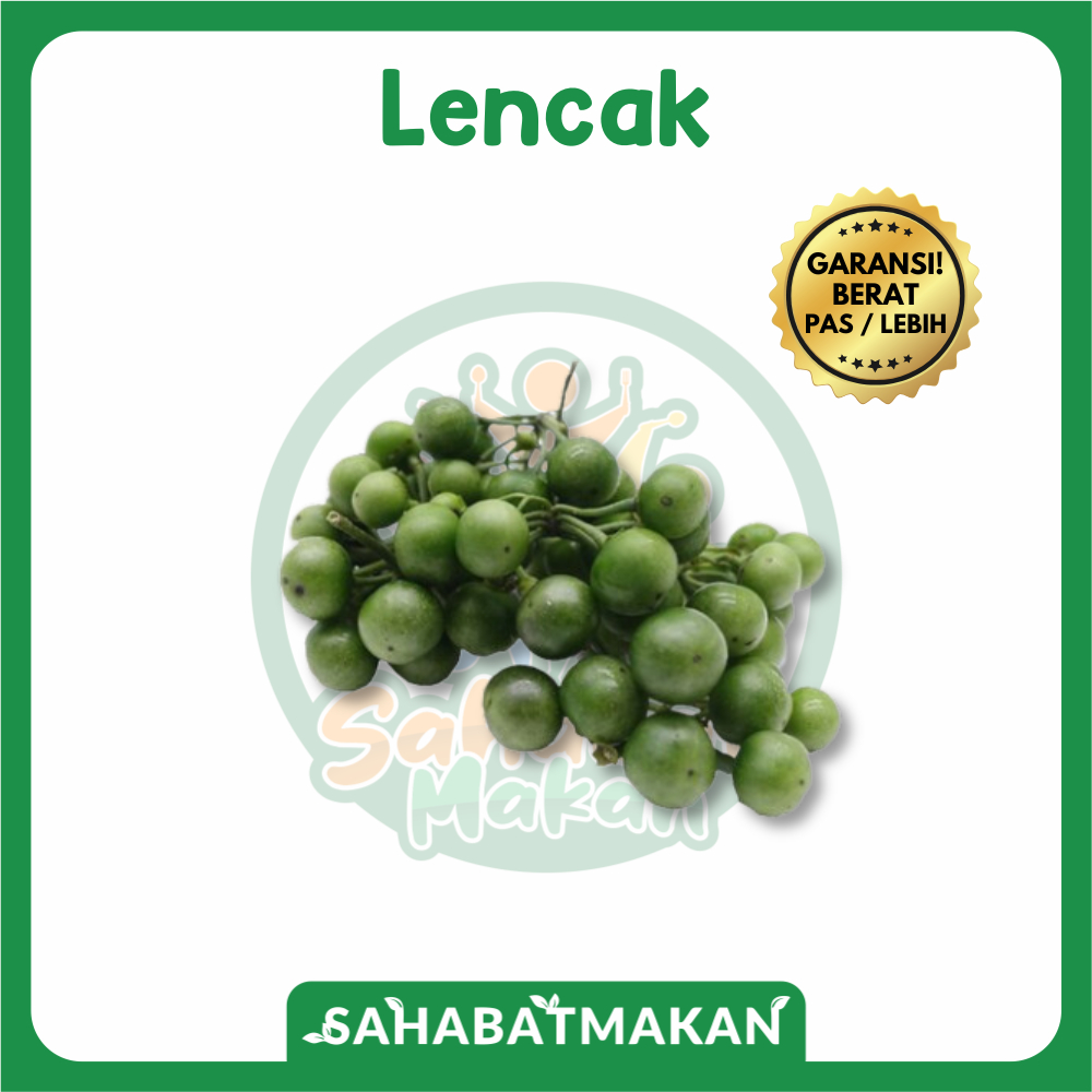 

Lencak — Sahabat Makan Sayur Jogja