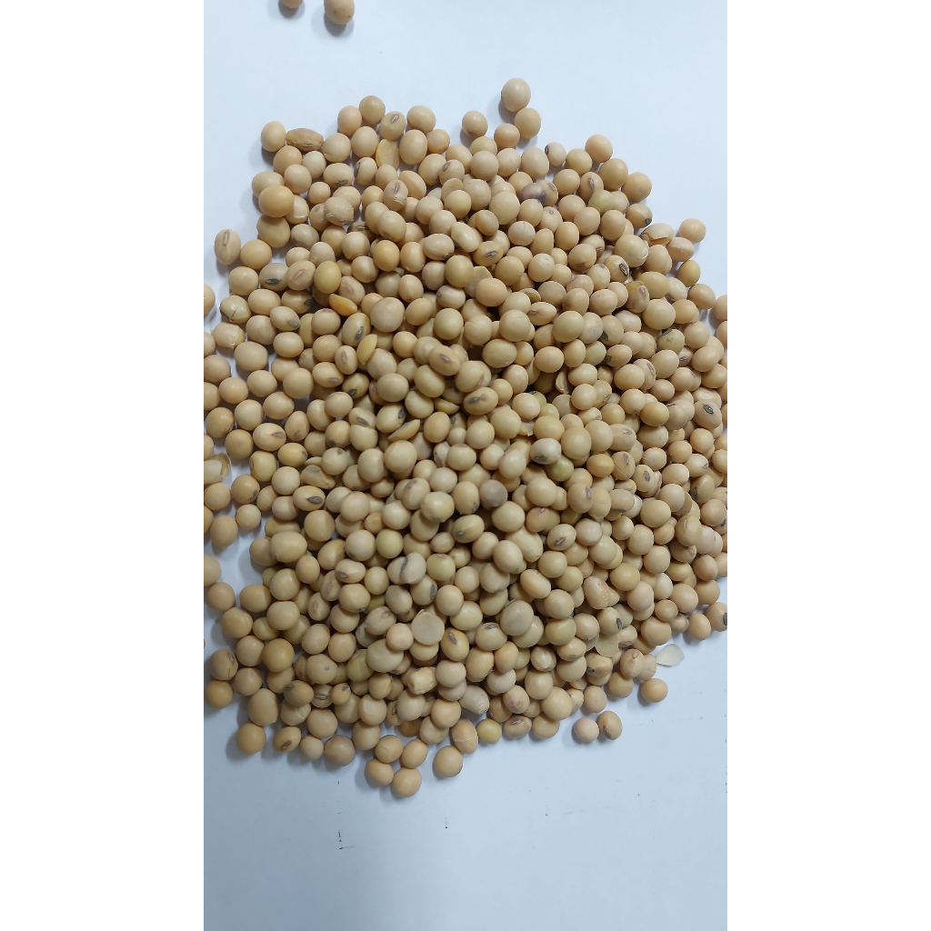 

Kedelai Import USA GRADE NO. 1 - Kemasan 1Kg