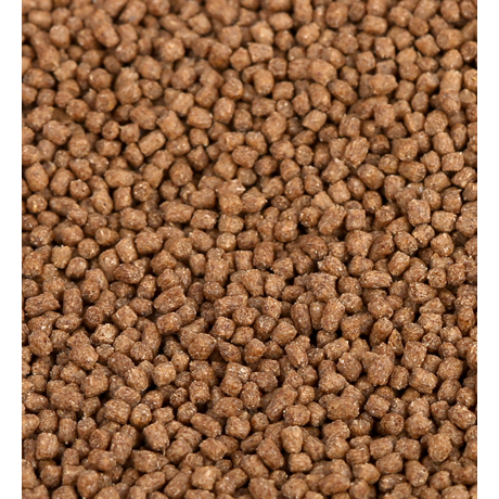 Ratoo Hokky Colour Max Pelet Pakan Ikan Koki Koki Goldfish - 100 Gram