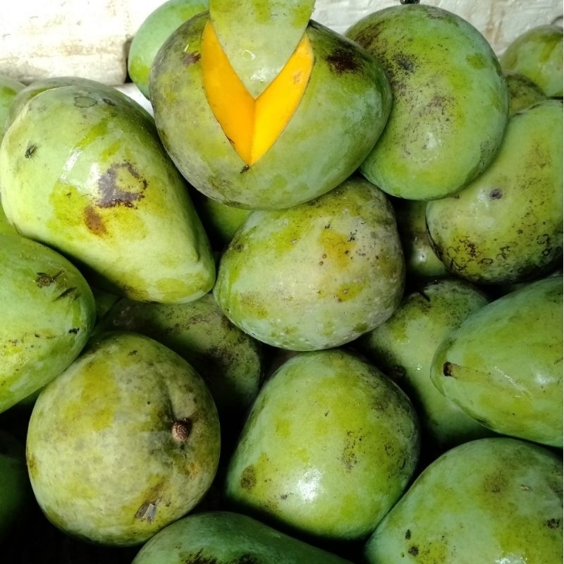 

Mangga Gayam by Buwah Fresh