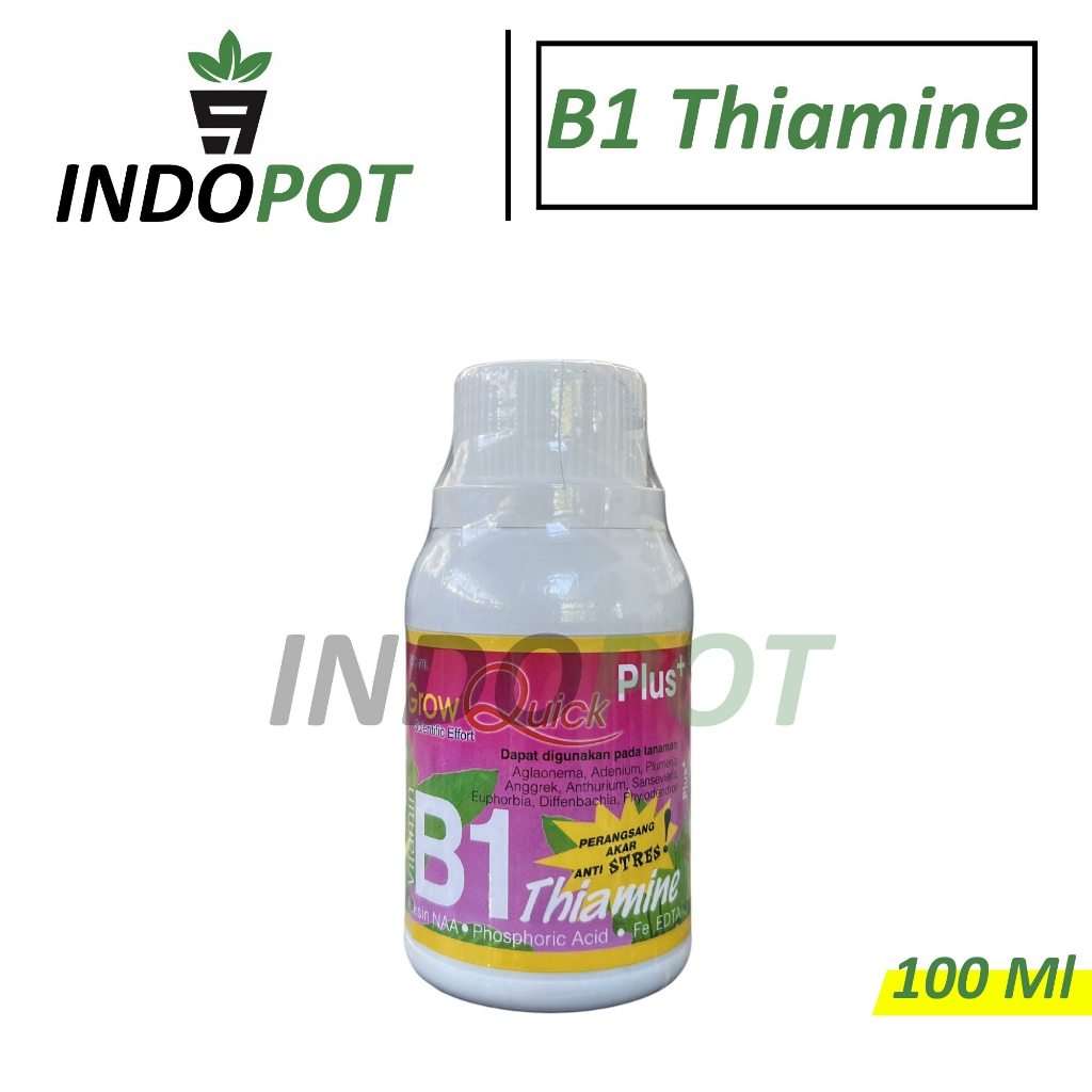GROW QUICK VITAMIN B1 PLUS 100ML PUPUK HORMON AKAR
