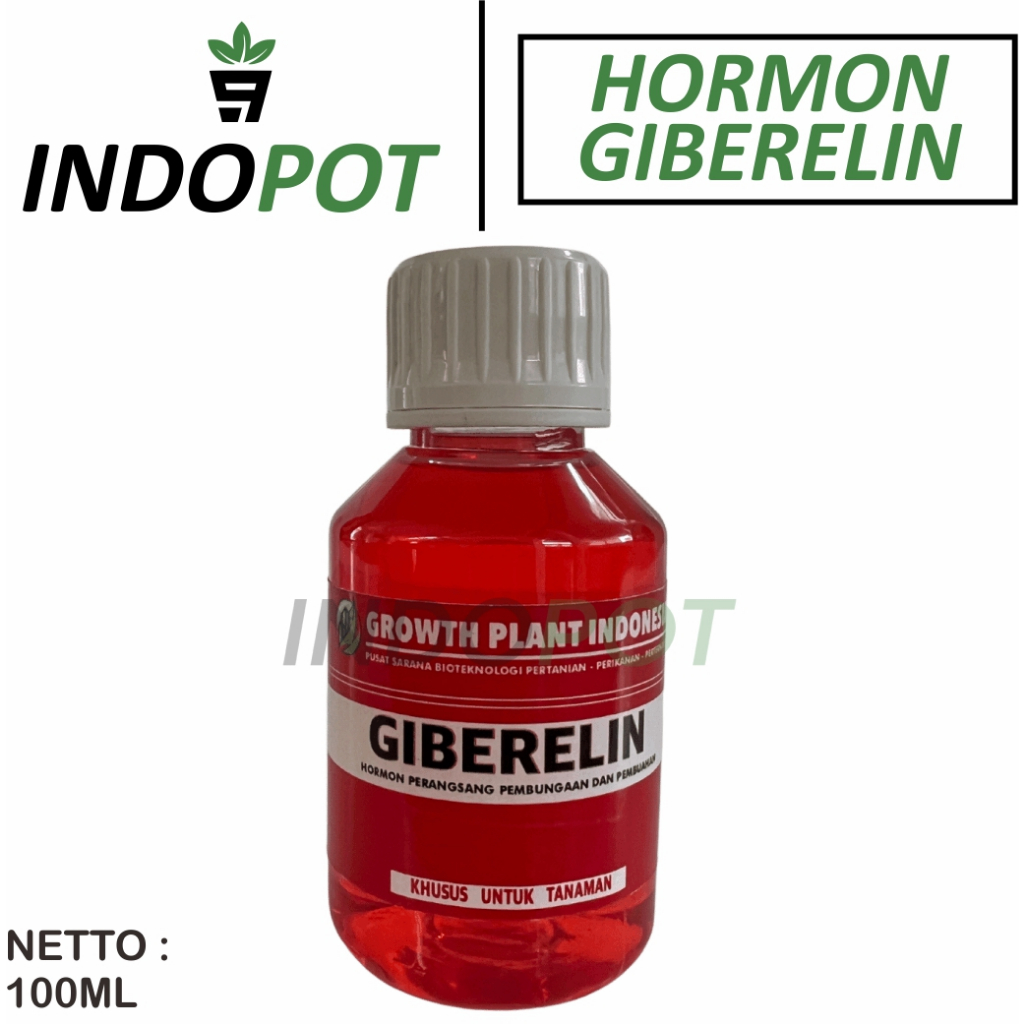 Hormon Giberelin Kemasan 100 ml Hormon Pembungaan