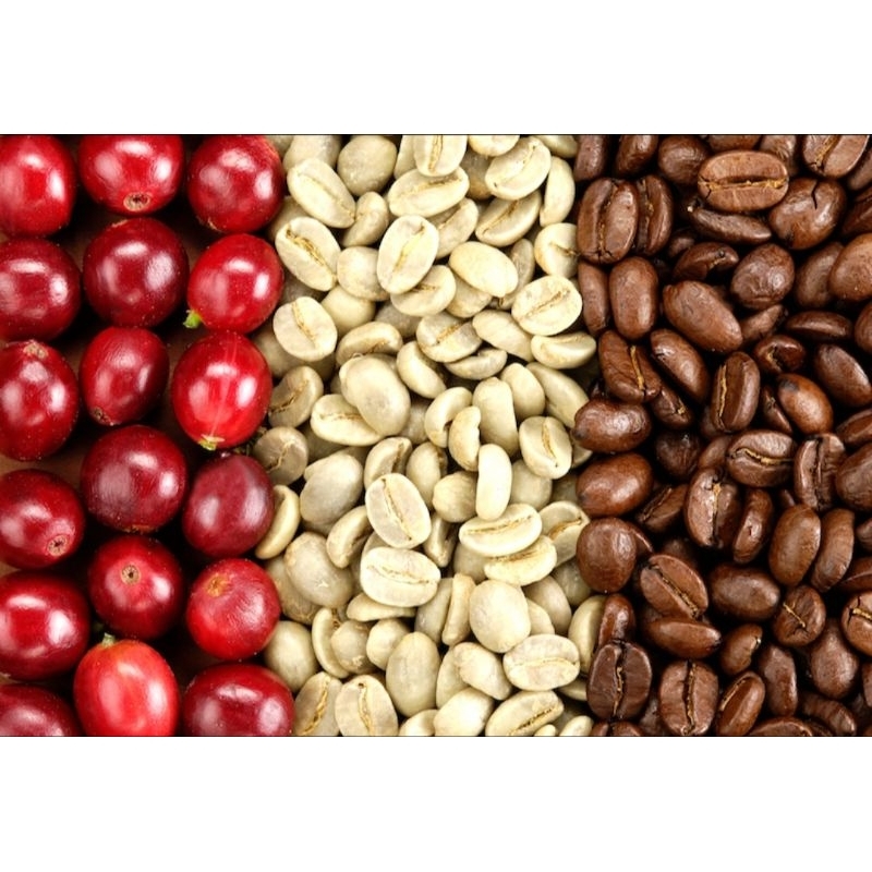 

KOPIPELANGISMKN3LAHAT