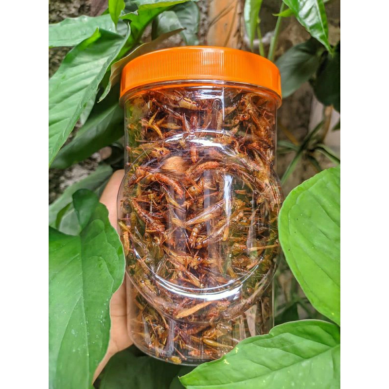 

walang goreng gurih asin 200gr