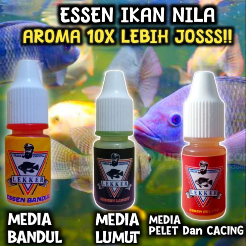 ESSEN NILA LIAR MEDIA UMPAN LUMUT, ESEN IKAN NILA UMPAN CACING, ESEN BANDUL PALING JITU, ESSEN MANCI