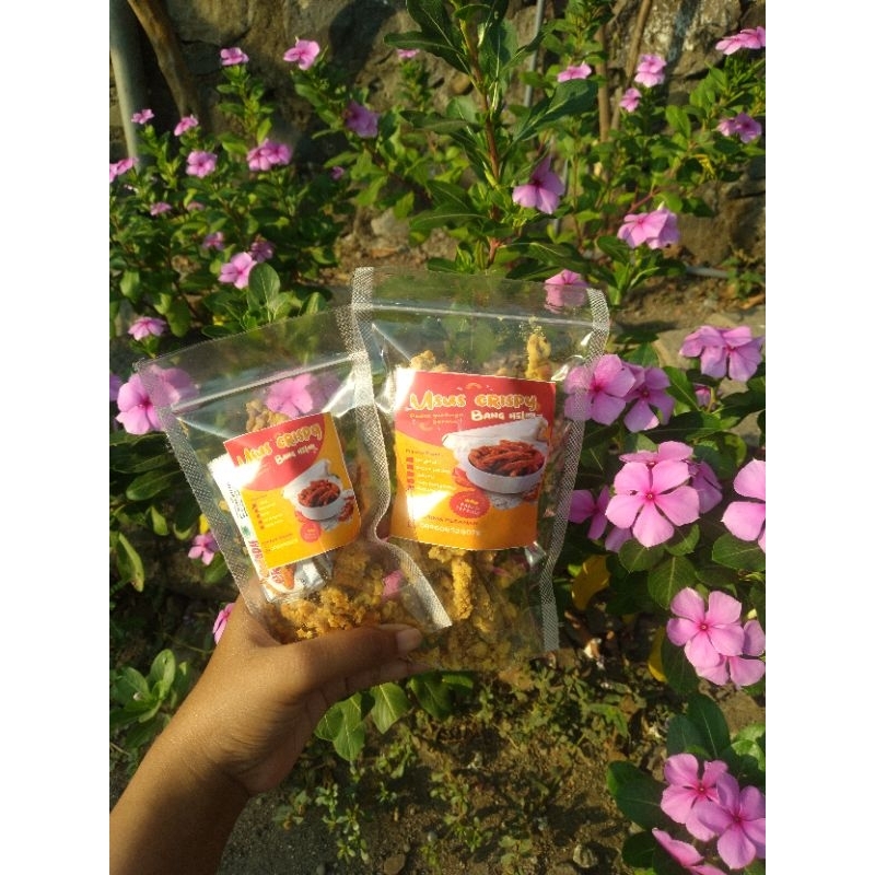 

USUS CRISPY 70gr