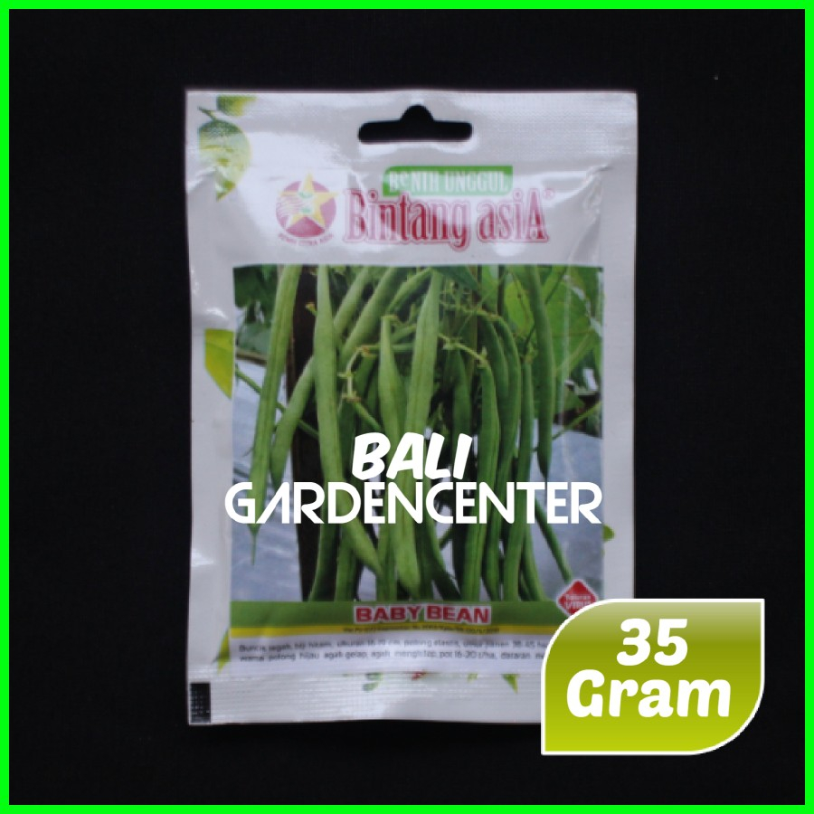 Isi 35gr Benih Biji Buncis Tegak BABY BEAN - Bintang Asia