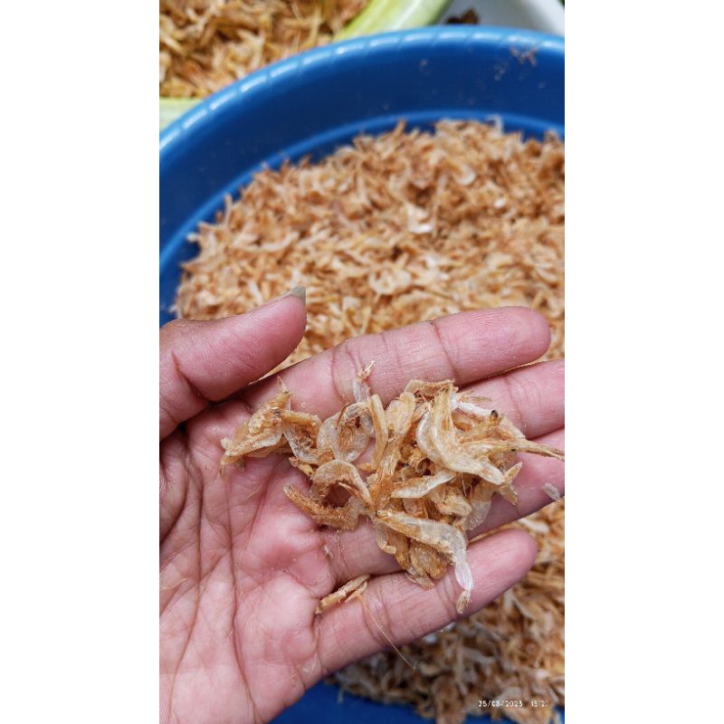 

(100 Gram) Udang Rebon Tawar Kering Kasar Kualitas Super Bahan Masakan, Pakan Kura-Kura, Ikan Channa, Arwana, Louhan
