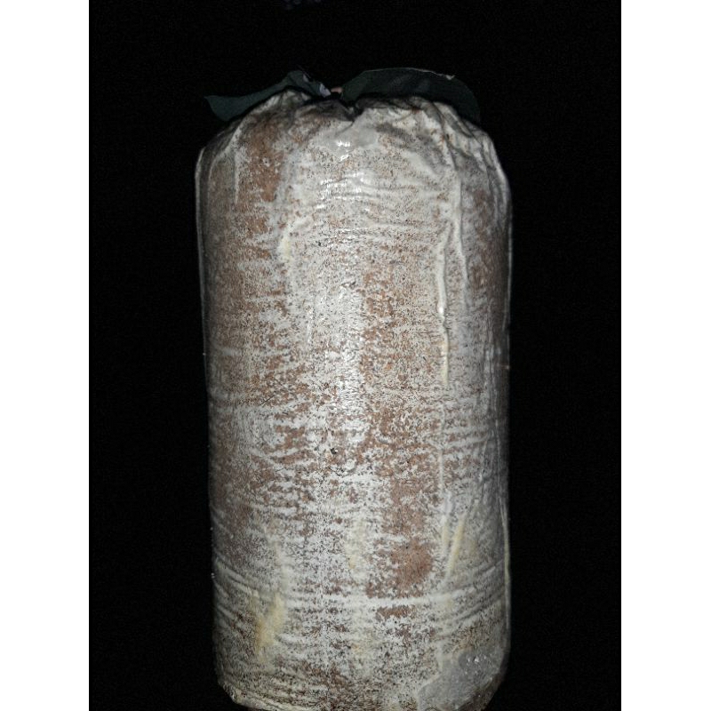 

baglog jamur tiram siap panen