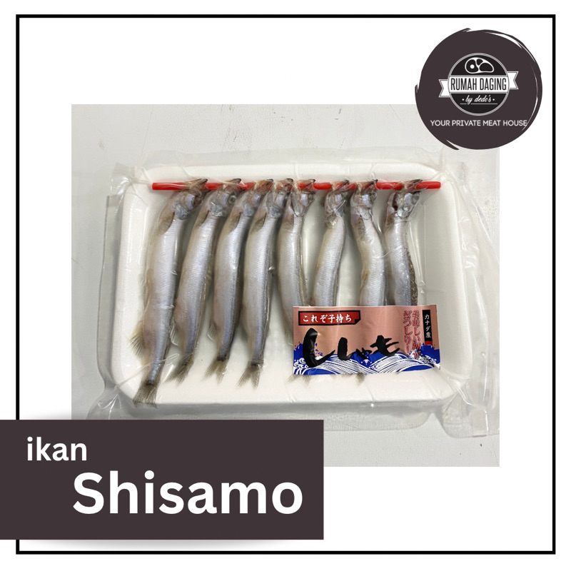 

Ikan Shisamo / ikan Capelin / ikan Telur (180-200 G)