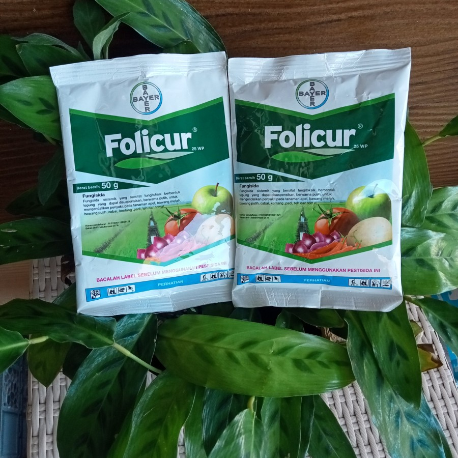 fungisida Folicur 25WP 50gram