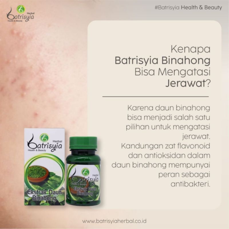 

binahong batrisyia Herbal / asam lambung / sakit perut / asam urat