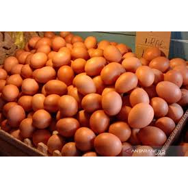 

telur ayam kampung fresh 6butir