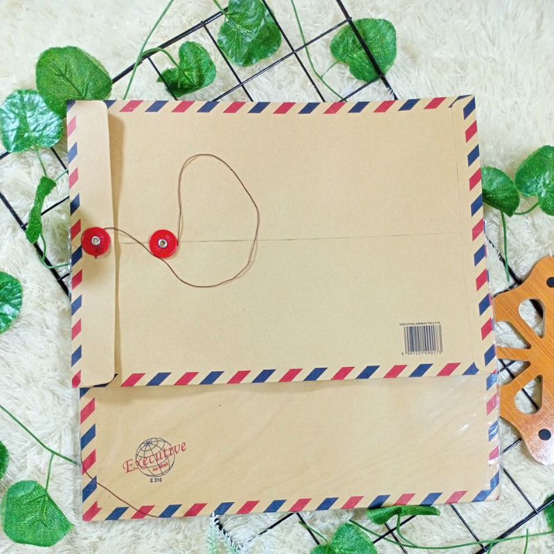 

(ISI 10) AMPLOP TALI 310 PACK