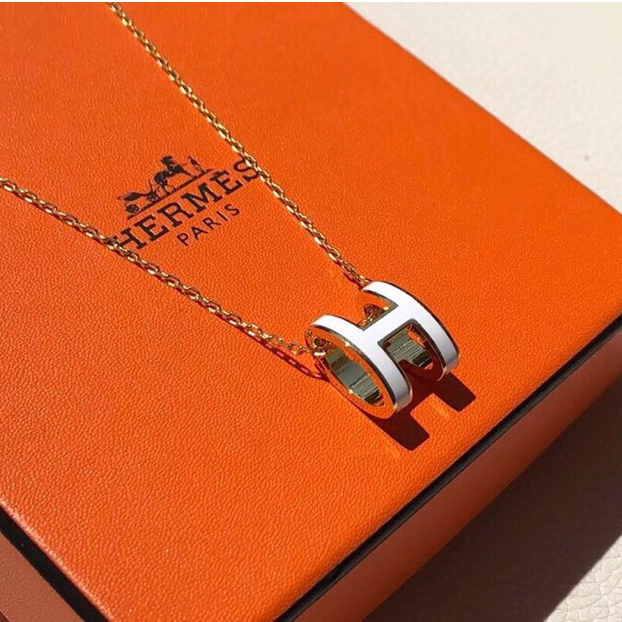 Cat Putih Kalung Emas Mawar Emas 8k