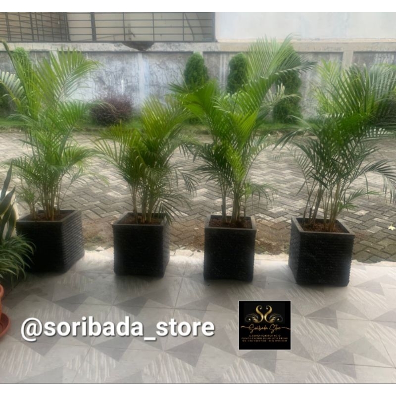Pot Bunga Batu Alam Model Petak | Pot Bunga Batu | Pot Bunga Keren