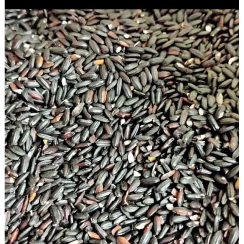 

Beras Ketan Hitam