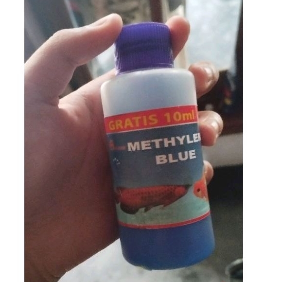 

METHYLENE BLUE